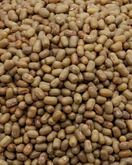 Moth Beans (Matki Dal) – Small Brown Lentils