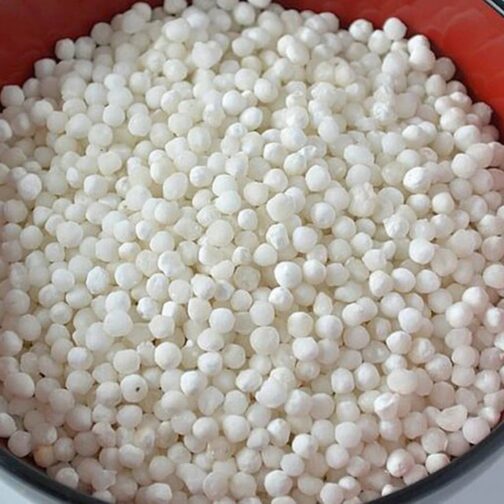 Fresh Sabudana ताजा साबूदाना